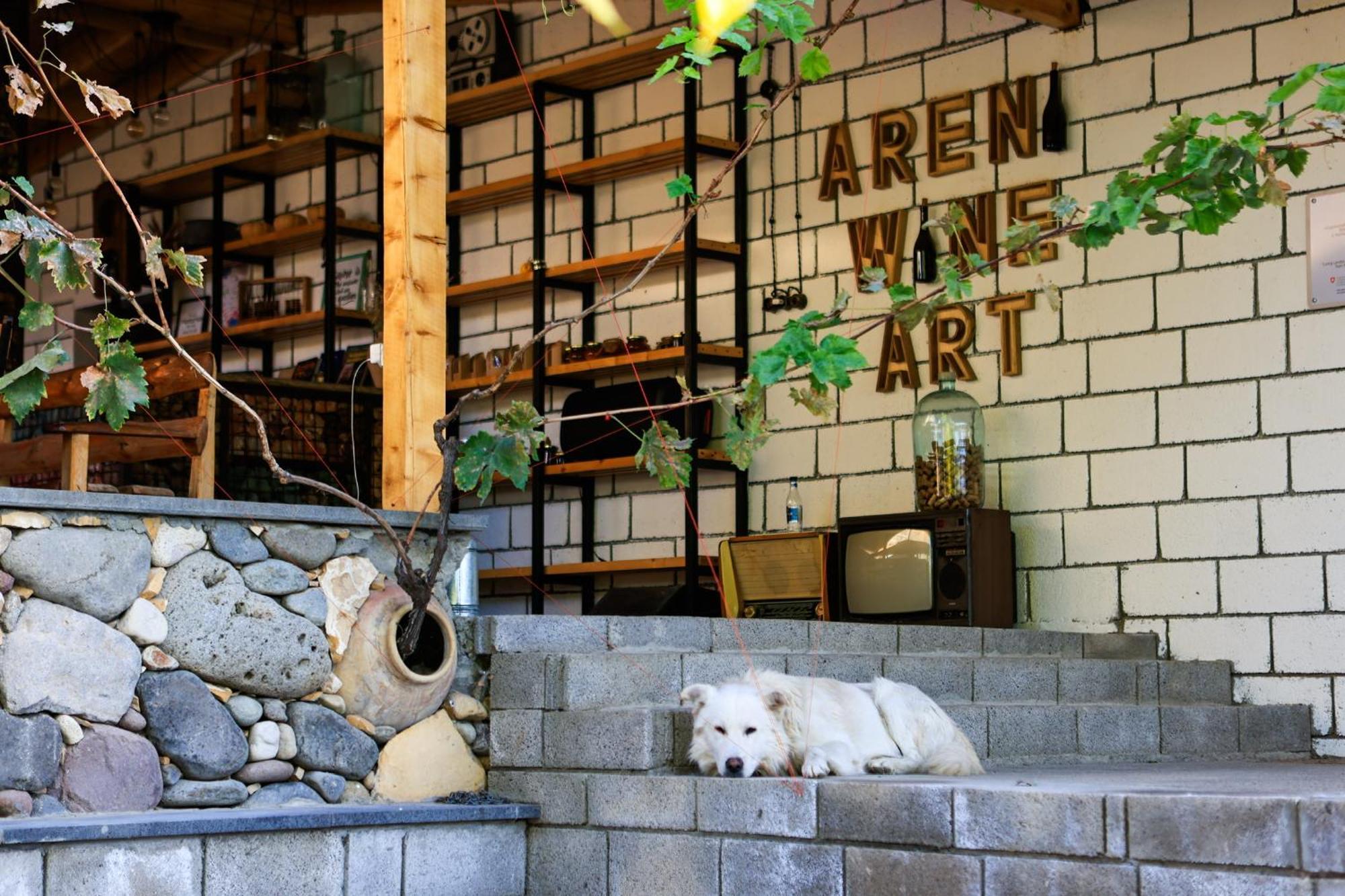 Areni Wine Art Bed & Breakfast エクステリア 写真