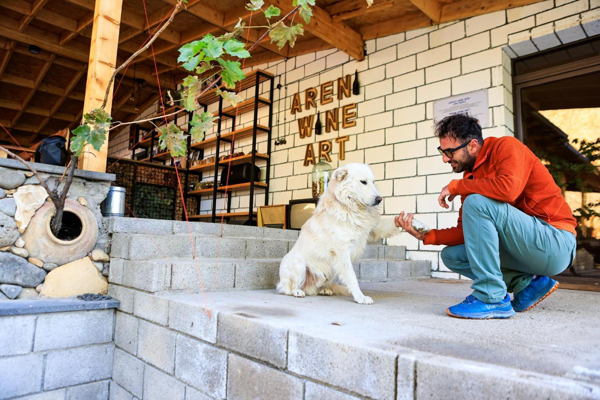 Areni Wine Art Bed & Breakfast エクステリア 写真