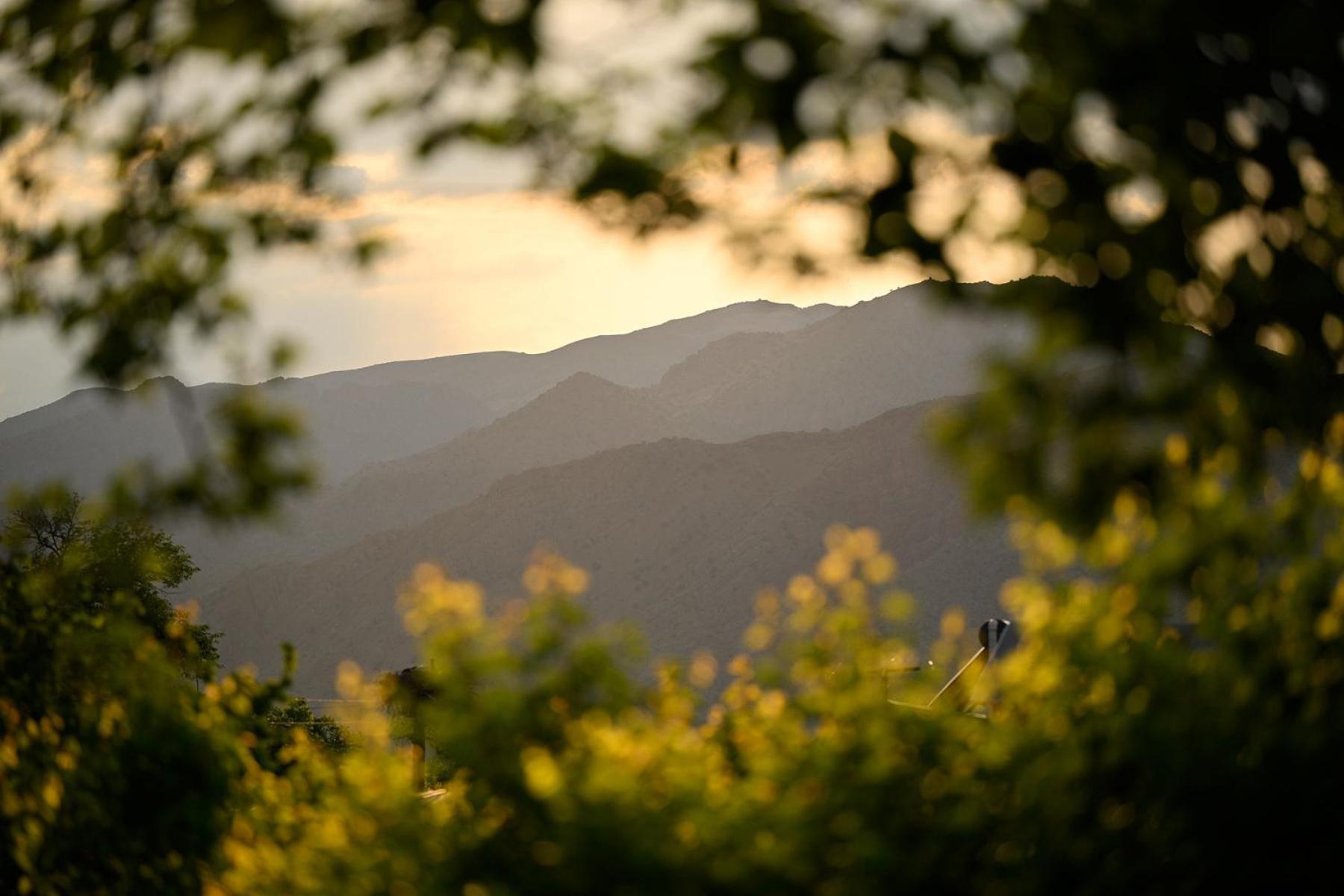 Areni Wine Art Bed & Breakfast エクステリア 写真